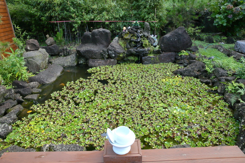 2038599400_lw4ZSMJx_e11b11c8fc90e19431a854dffc77c6b6c2ced3d7.JPG 이미지크게보기